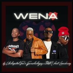 Cover of Wena