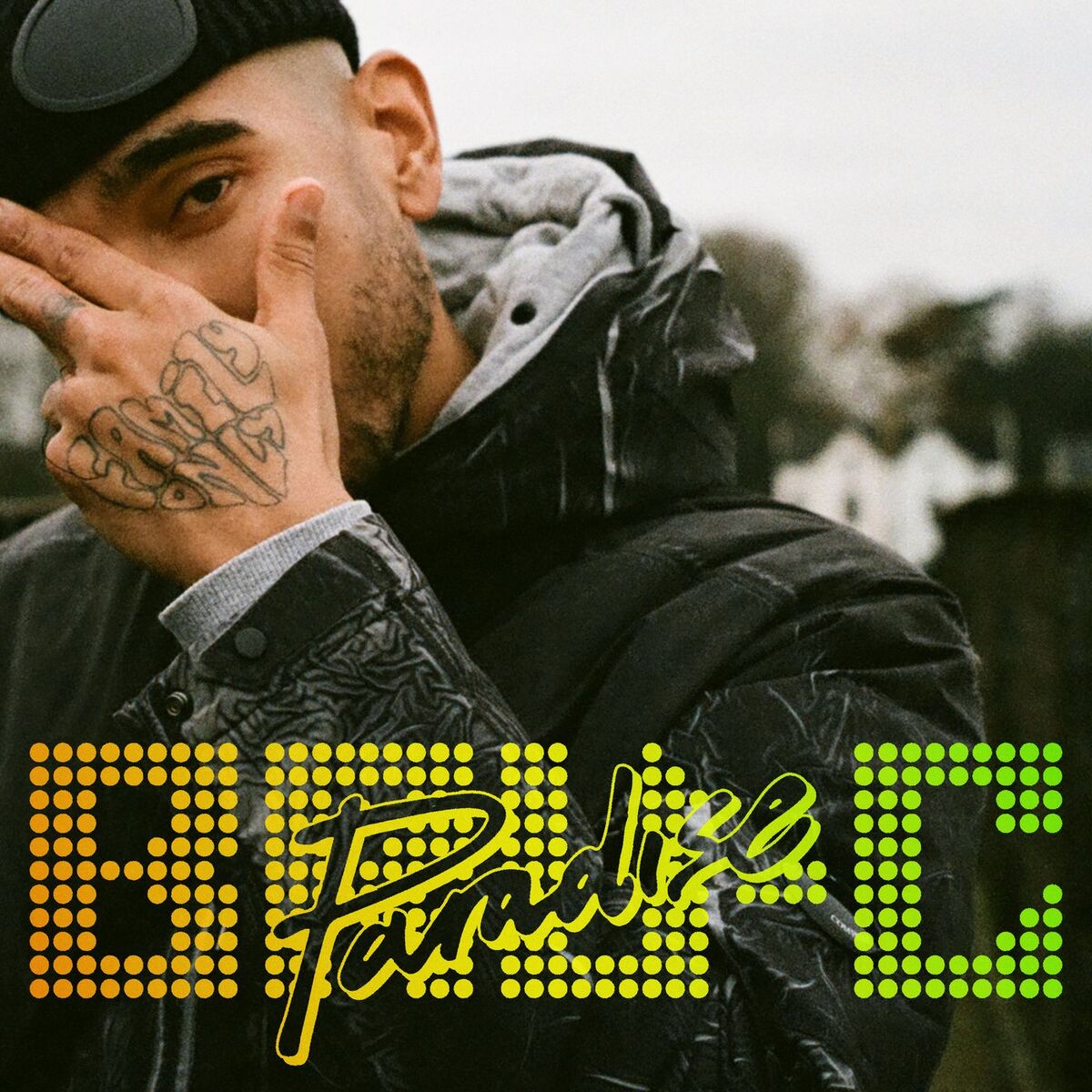 Album cover of Paradise