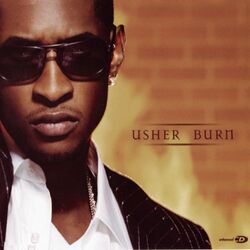 Cover of Burn