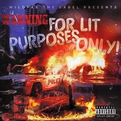 Cover of For Lit Purposes Only