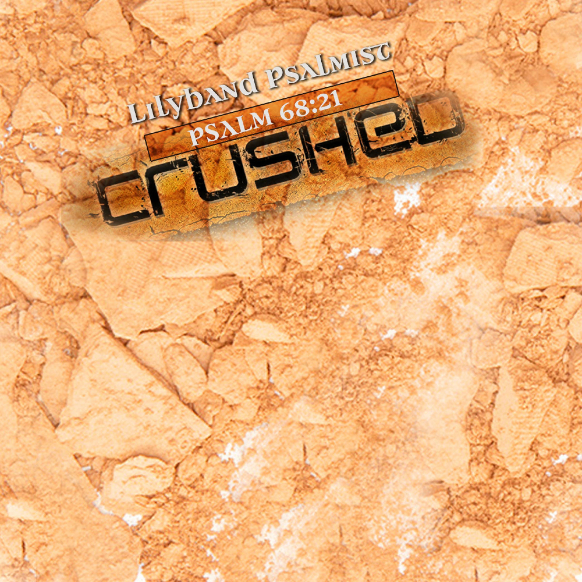 Album cover of Crushed