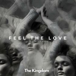 Cover of Feel the Love (feat. Junior Paes)