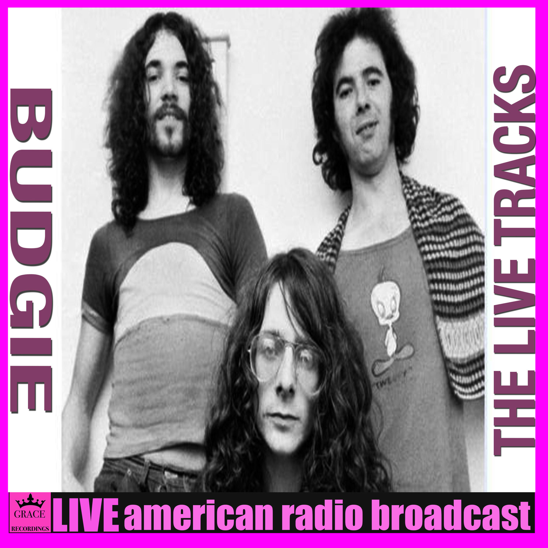 Album cover of The Live Tracks (Live)