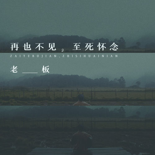 再也不见,至死怀念
