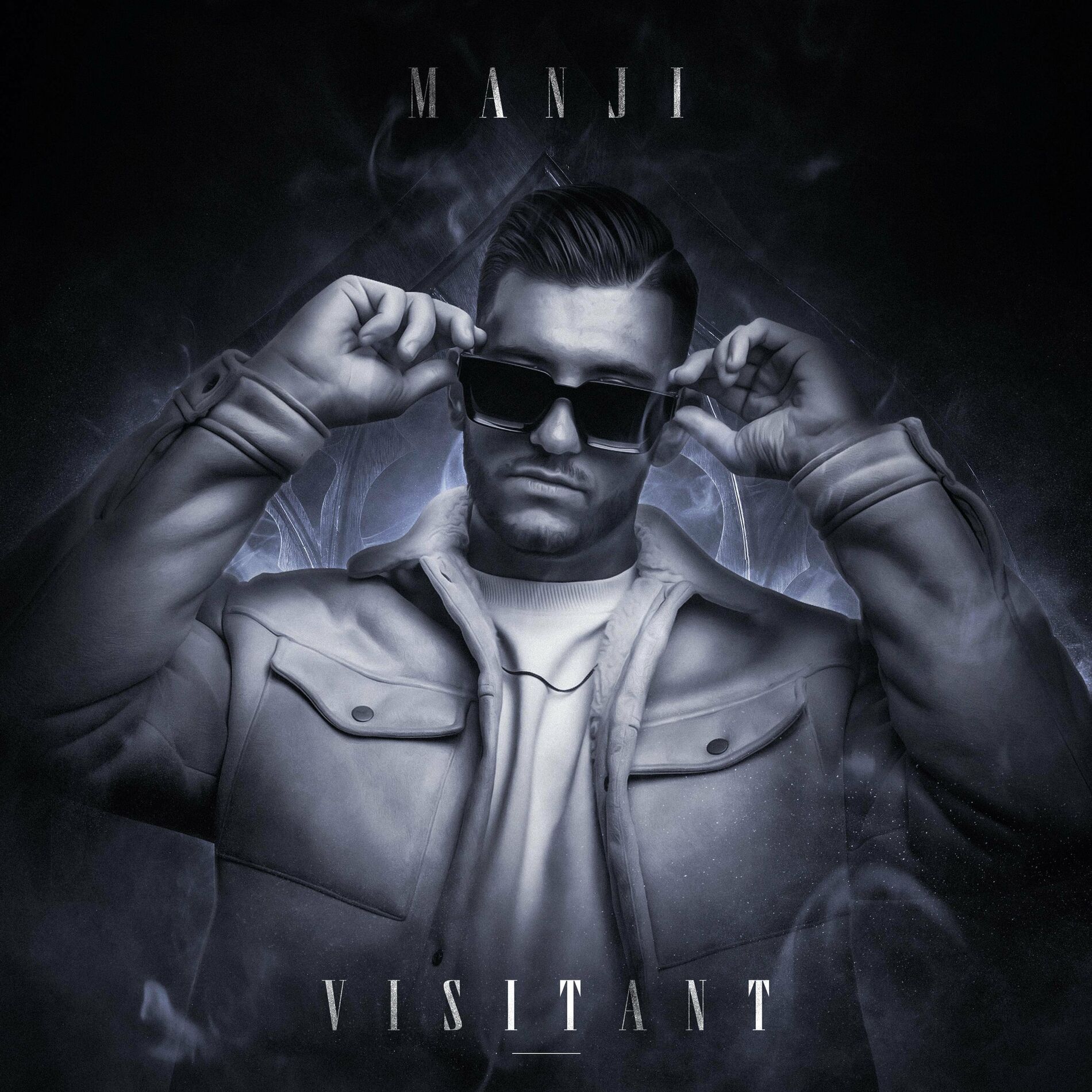 Album cover of Visitant