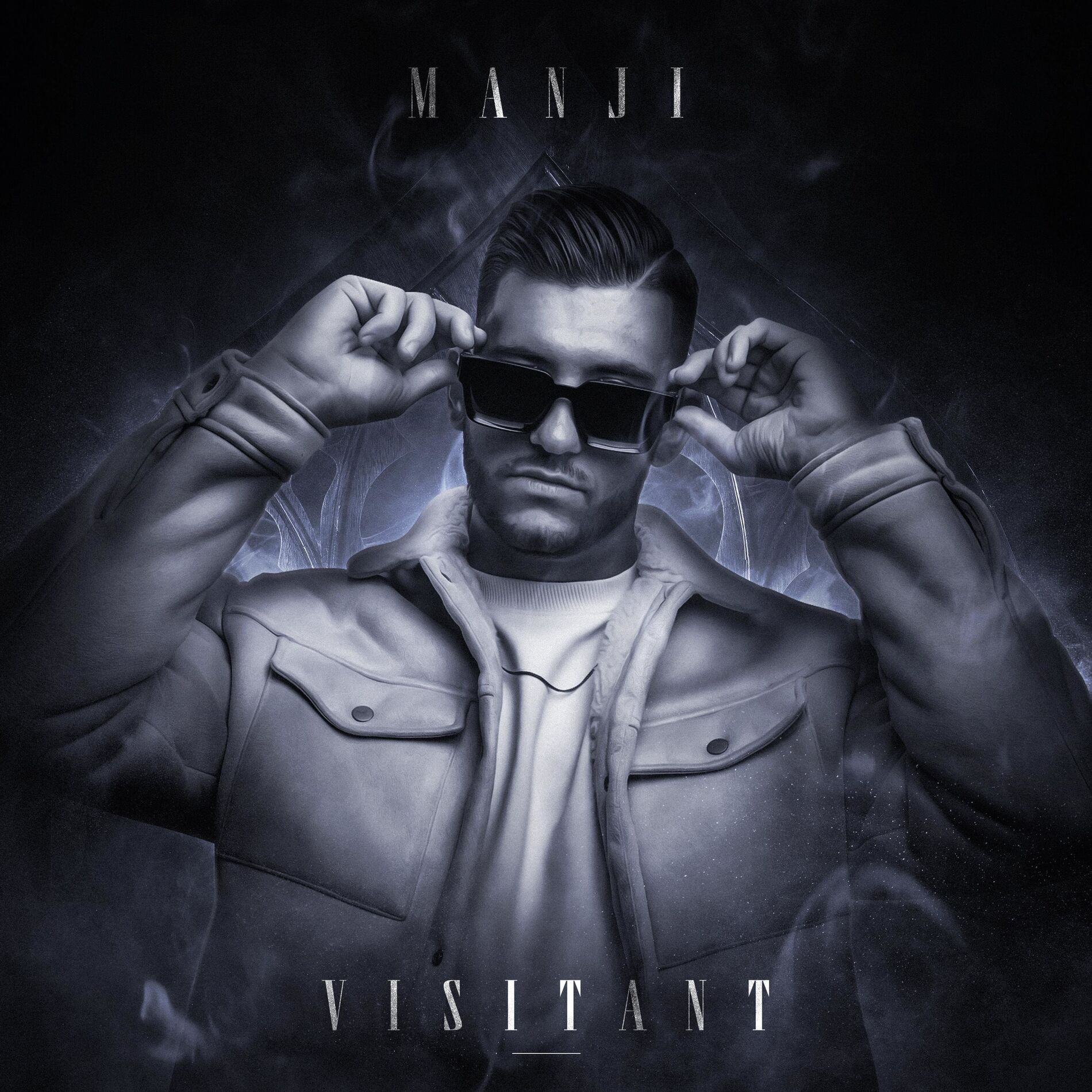 Album cover of Visitant