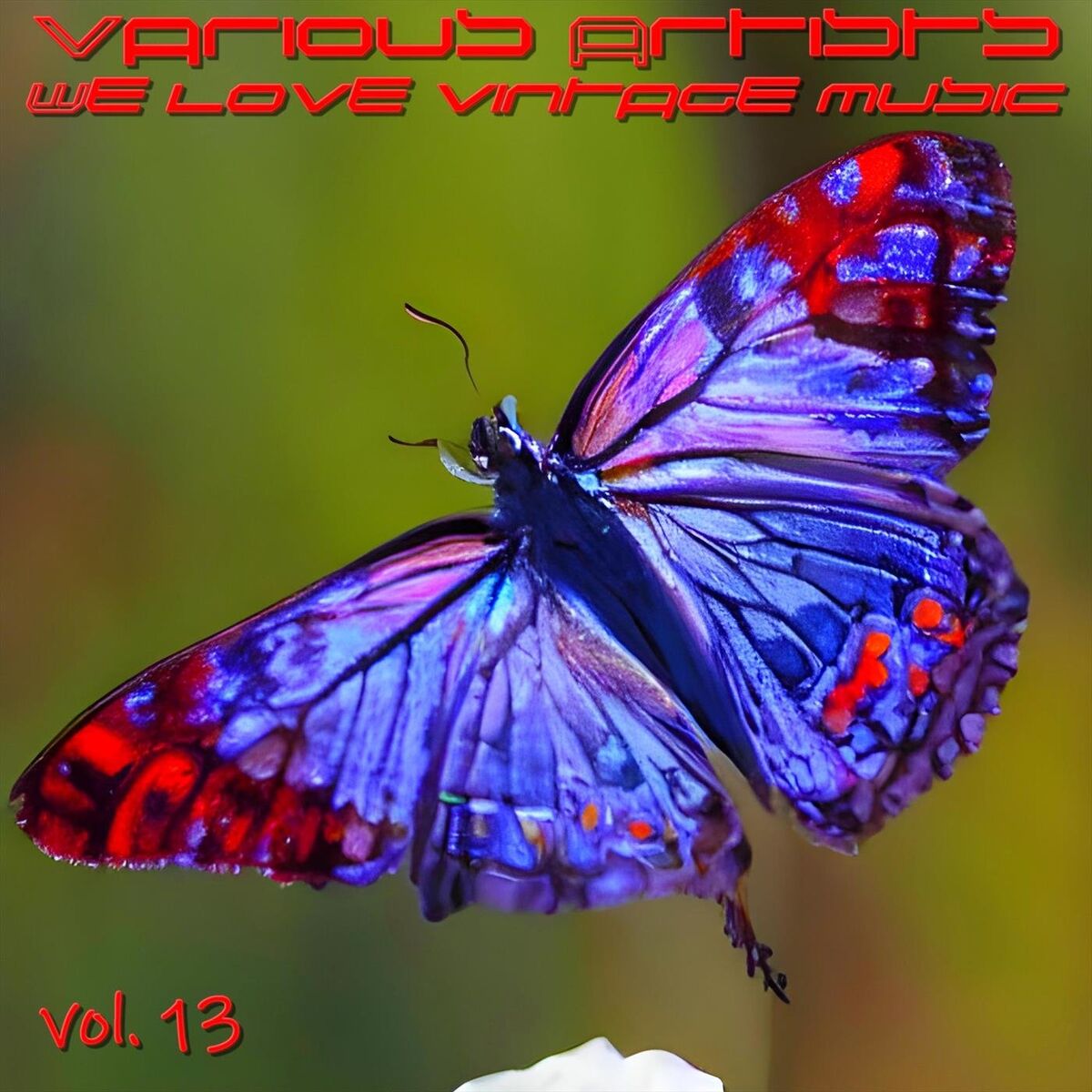 Album cover of We Love Vintage Music, Vol. 13