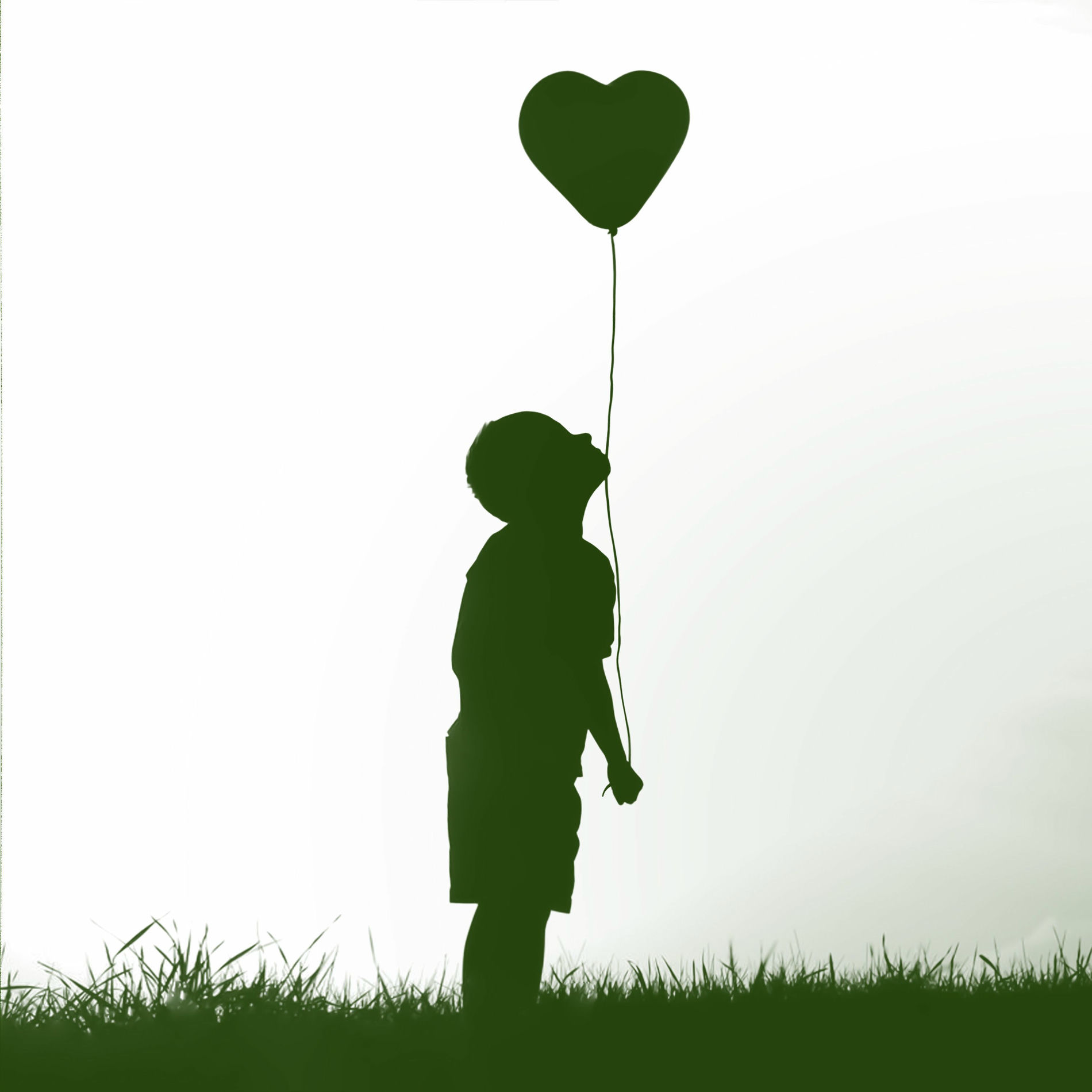 Album cover of Meninos De Verde