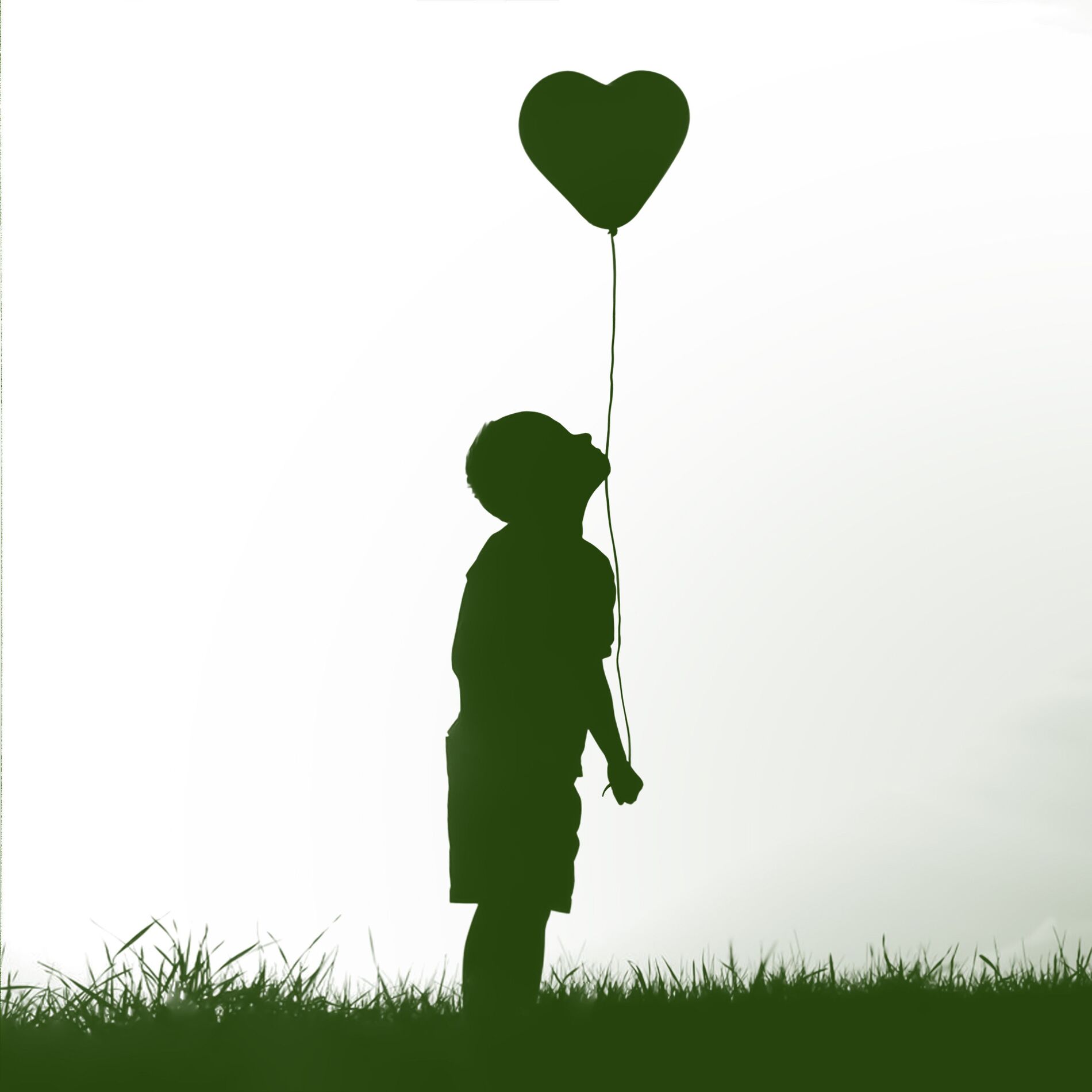 Album cover of Meninos De Verde