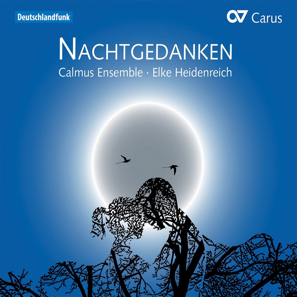 Album cover of Nachtgedanken