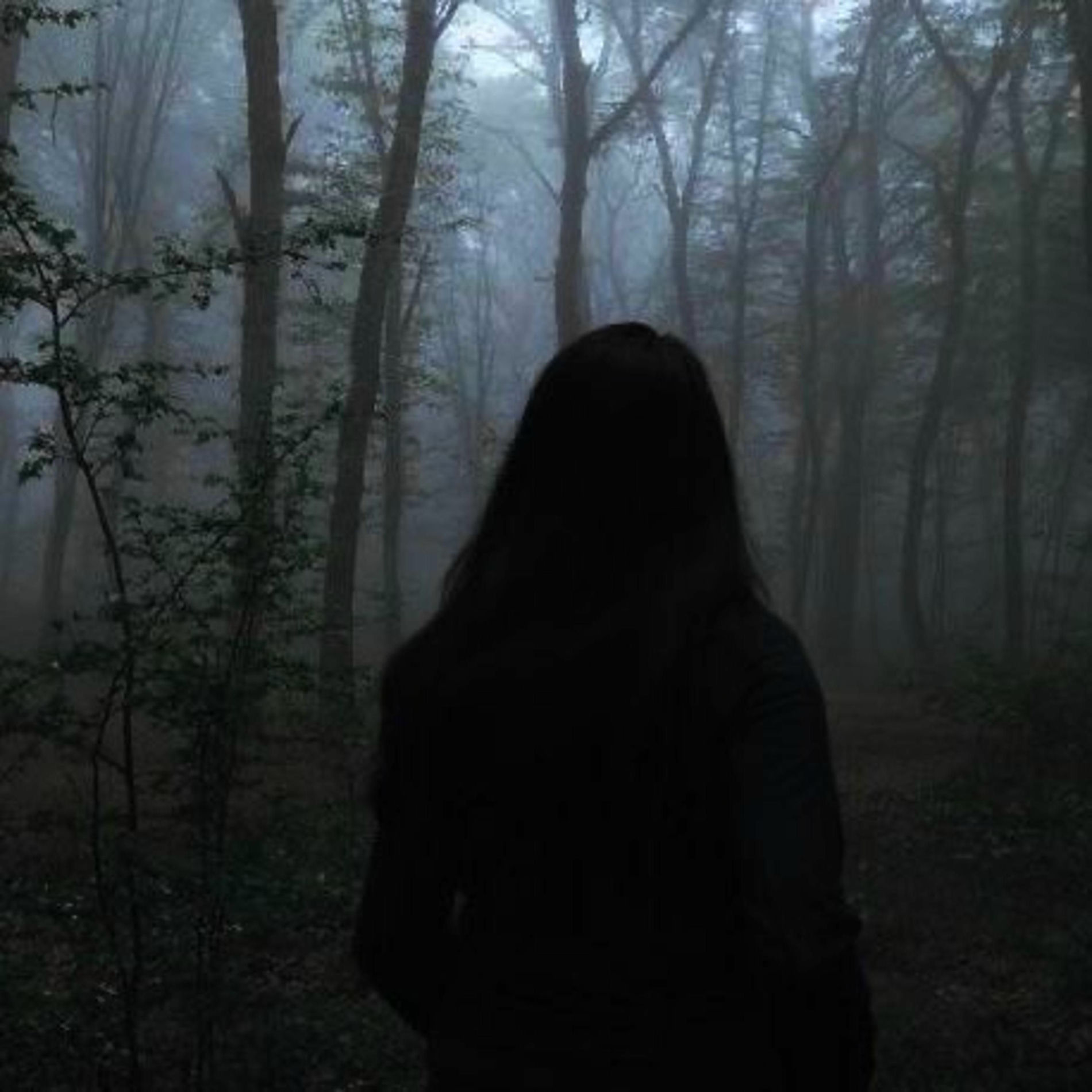 Album cover of Dream