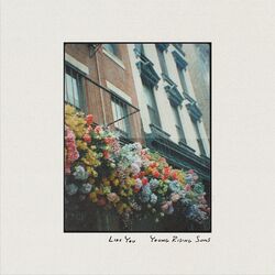 Cover of Like You