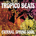 Eternal Spring Soul