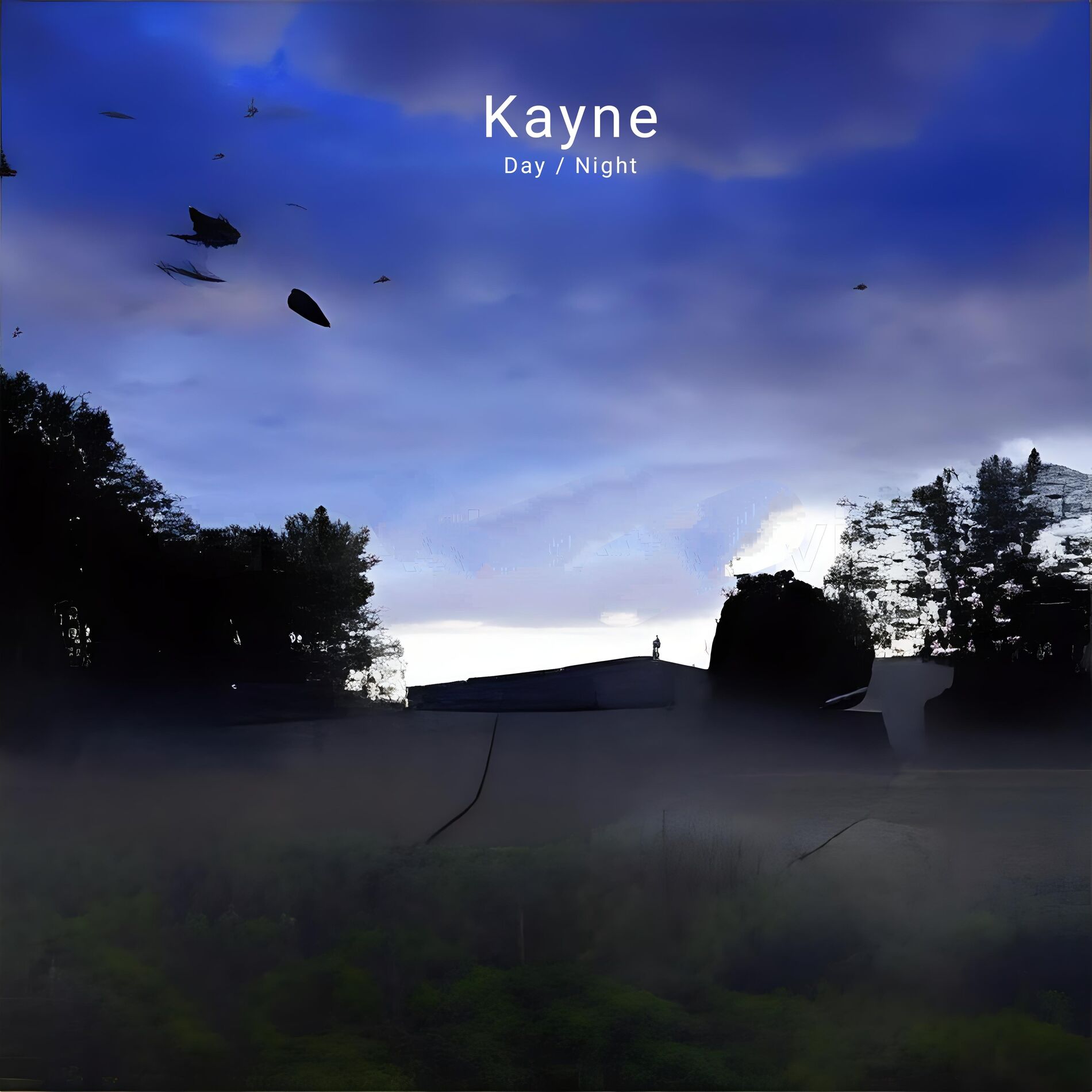 Album cover of Day