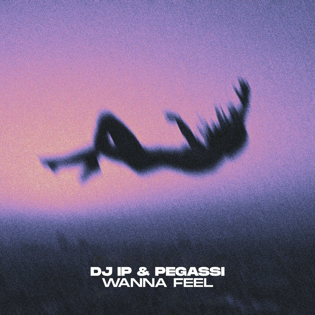Album cover of Wanna Feel