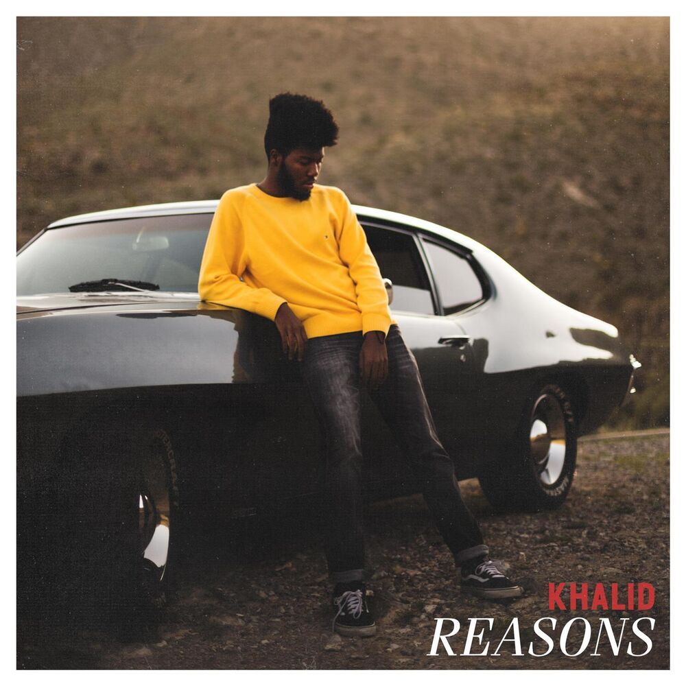 Picture of Reasons