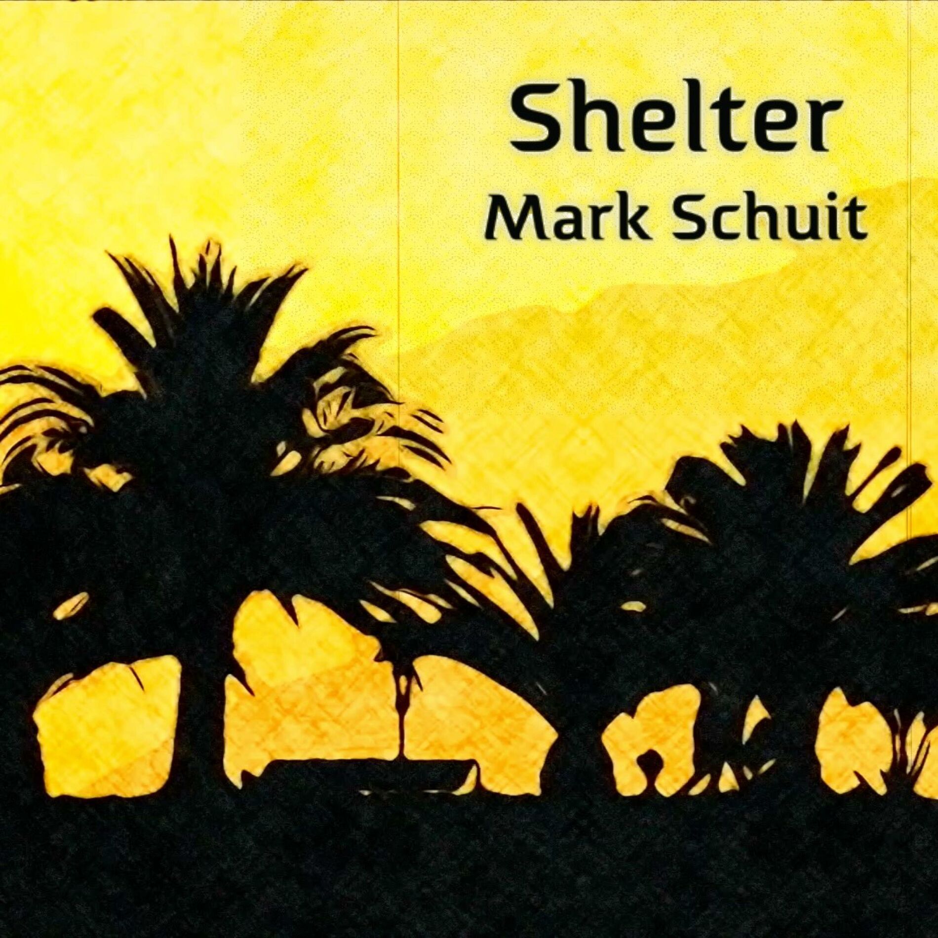 Album cover of Shelter