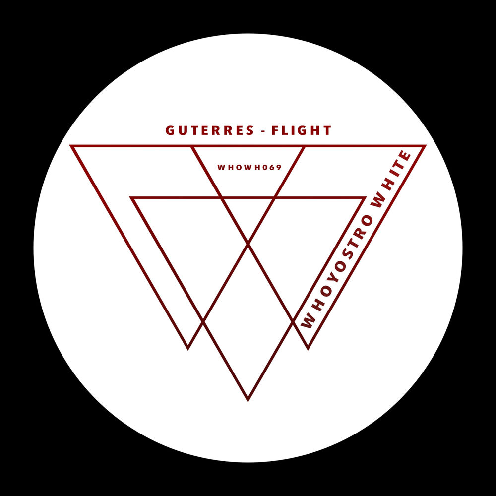 Picture of Flight