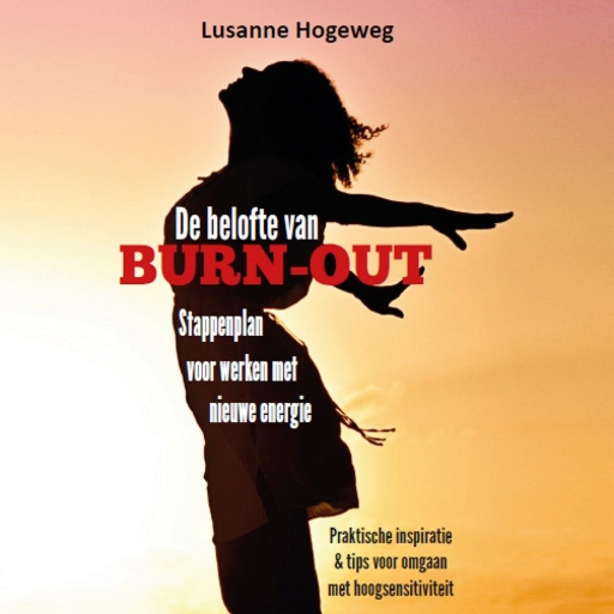 Album cover of De belofte van burn-out - Stappenplan voor werken met nieuwe energie - Praktische inspiratie & tips voor omgaan met hoogsensitivit