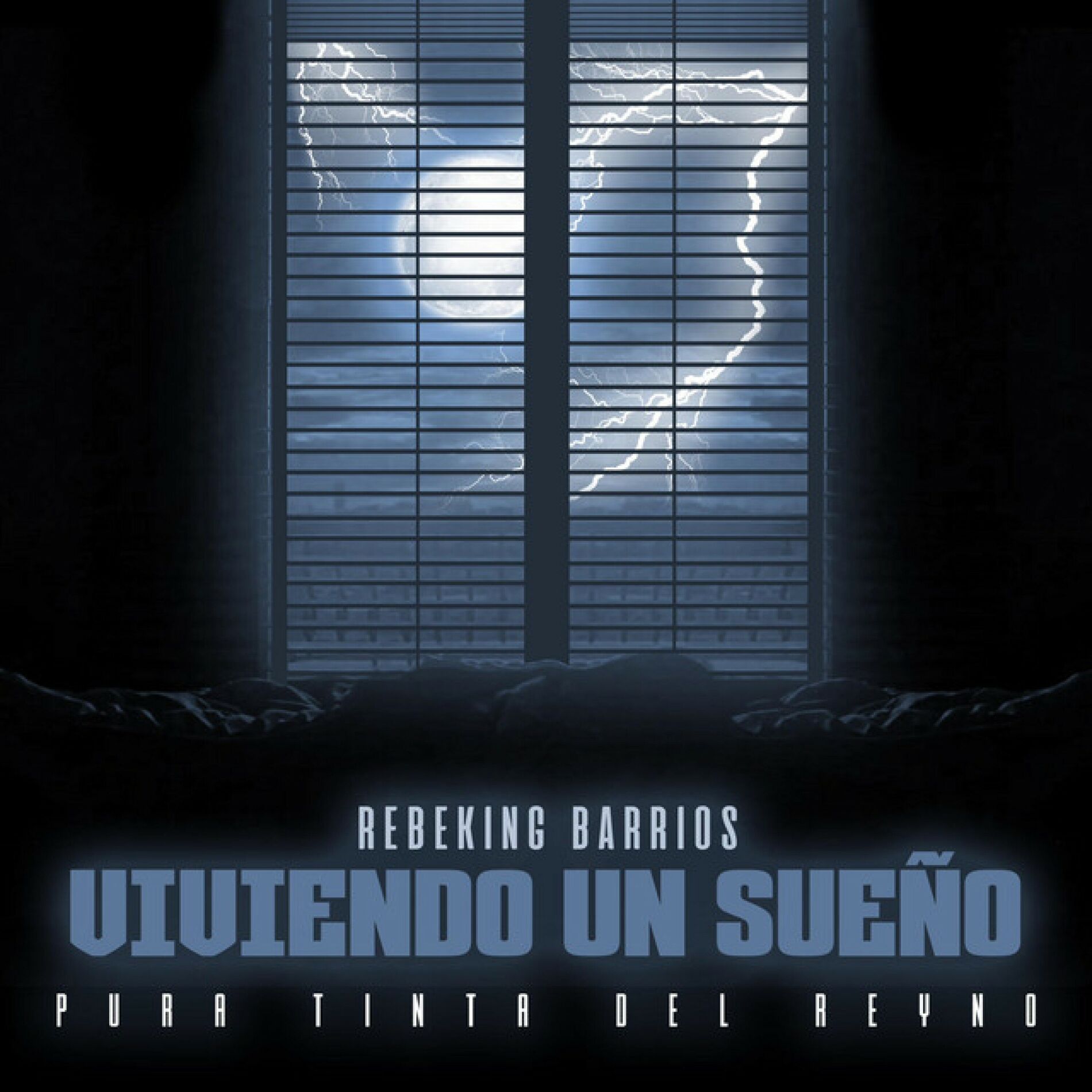 Album cover of Viviendo Un Sueño