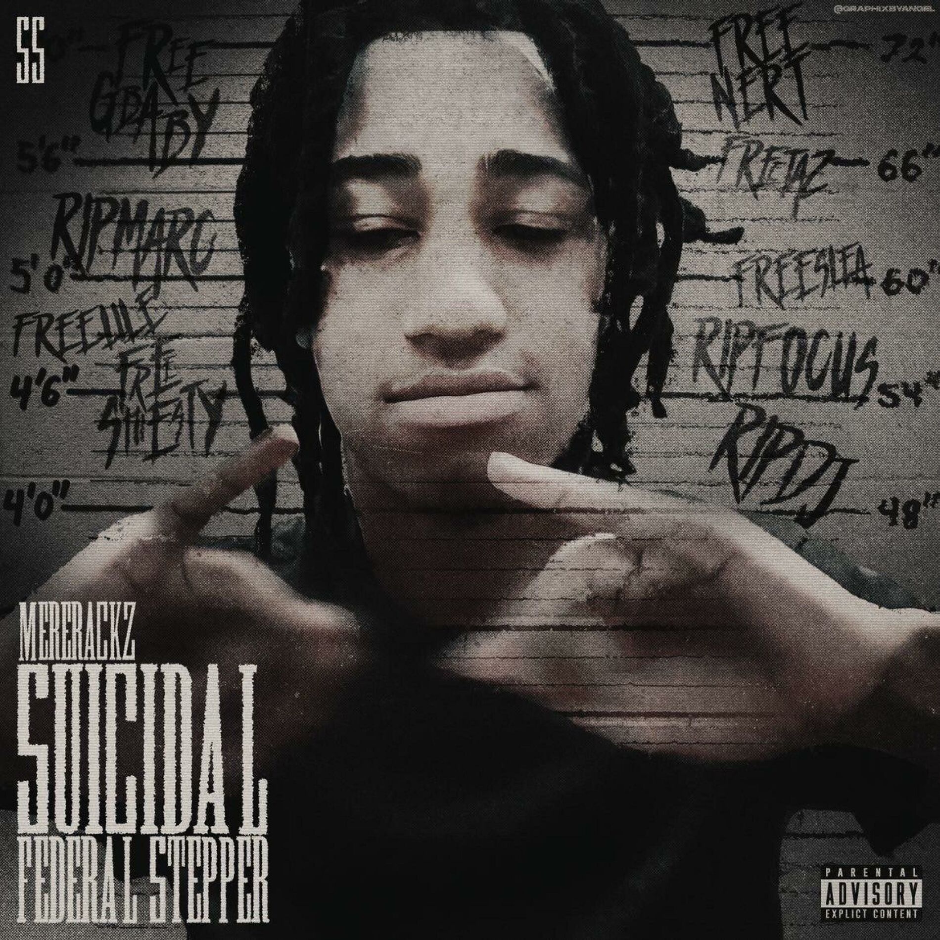 Album cover of Suicidal Federal Stepper