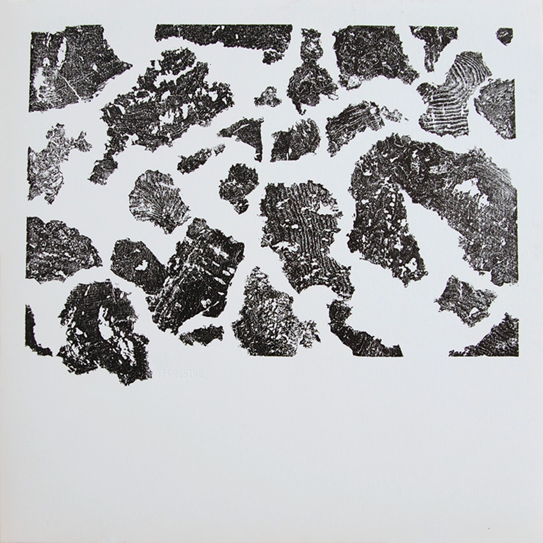 Album cover of Terrestre