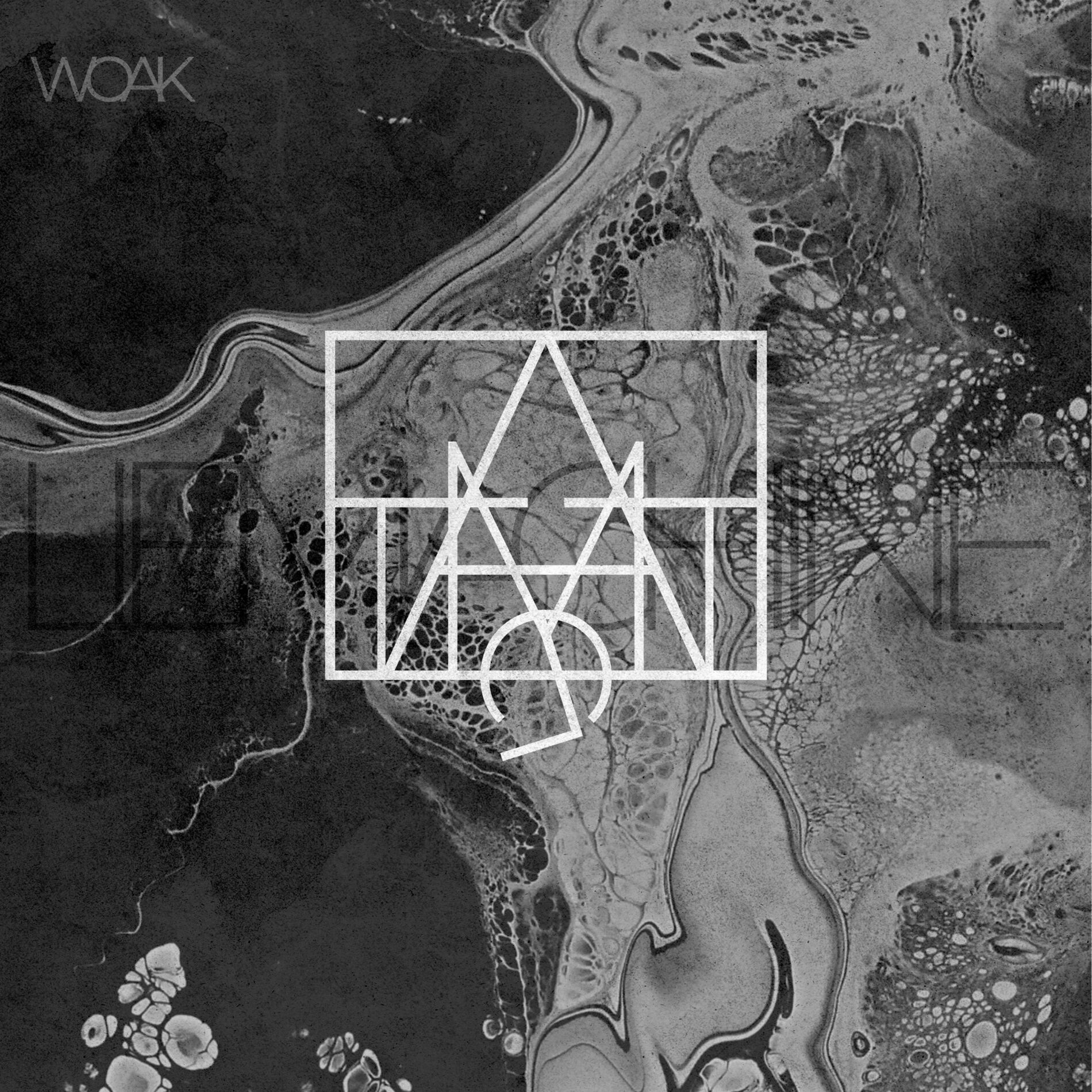 Album cover of Lie Machine