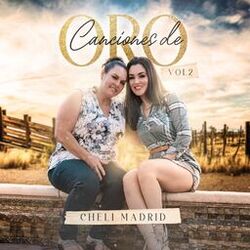 Cover of Canciones de Oro, Vol. 2 (En Vivo)