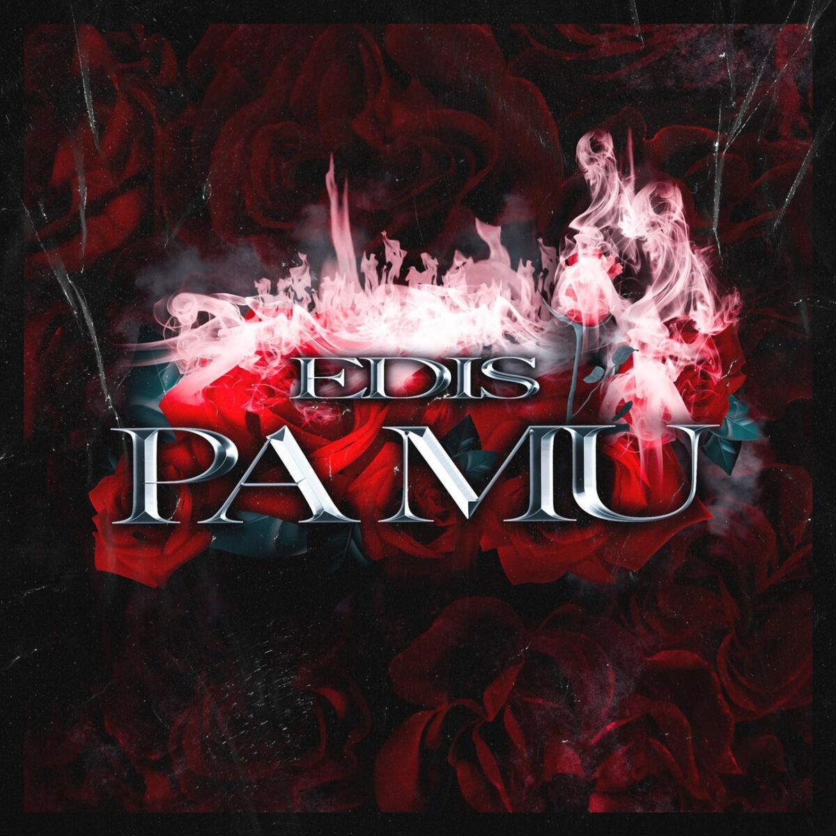 Album cover of Pa mu
