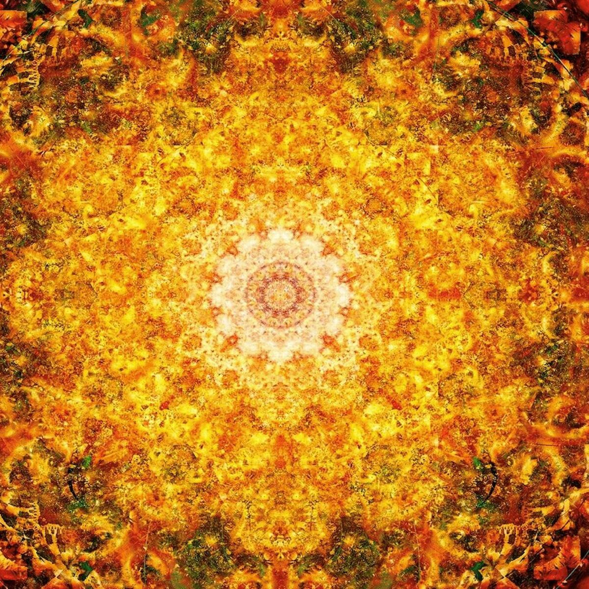 Album cover of Opening the hidden (Live)