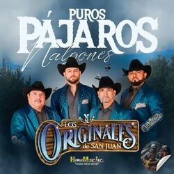 Cover of Puros Pajaros Nalgones