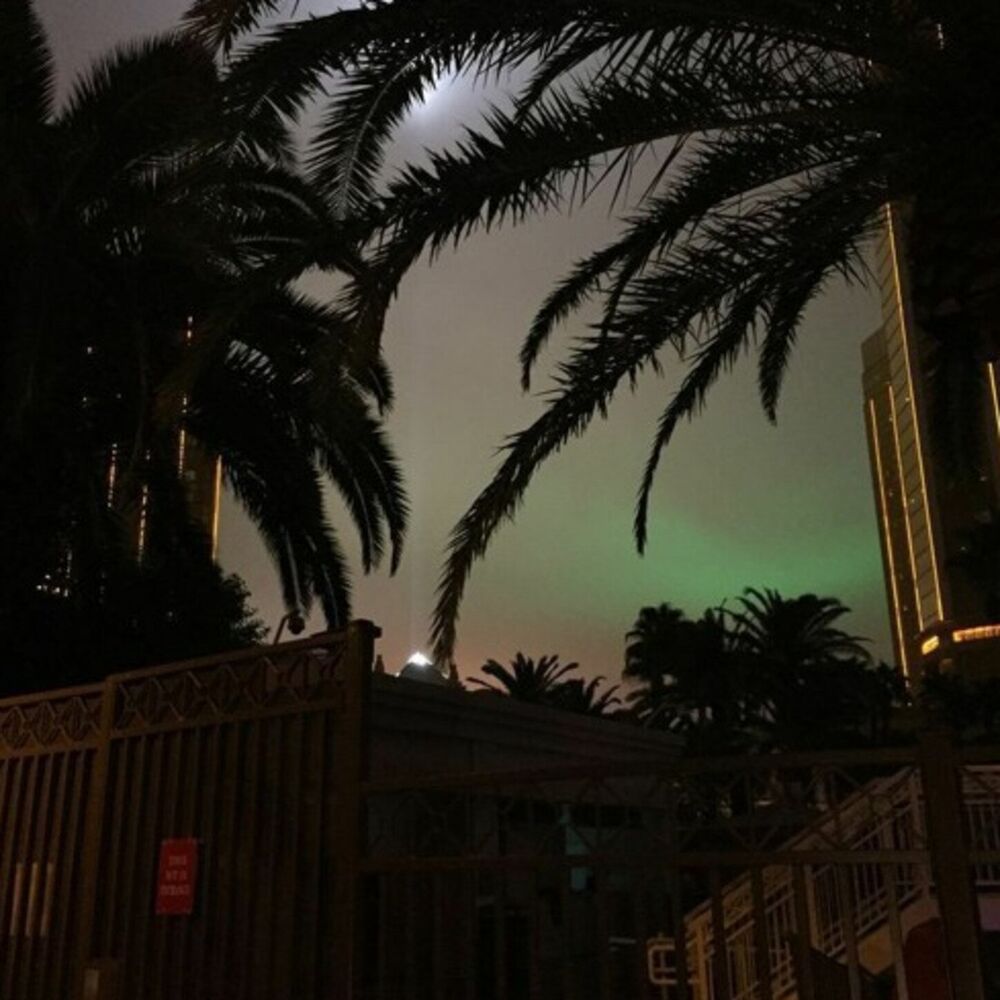 Picture of MIAMI DREAMING