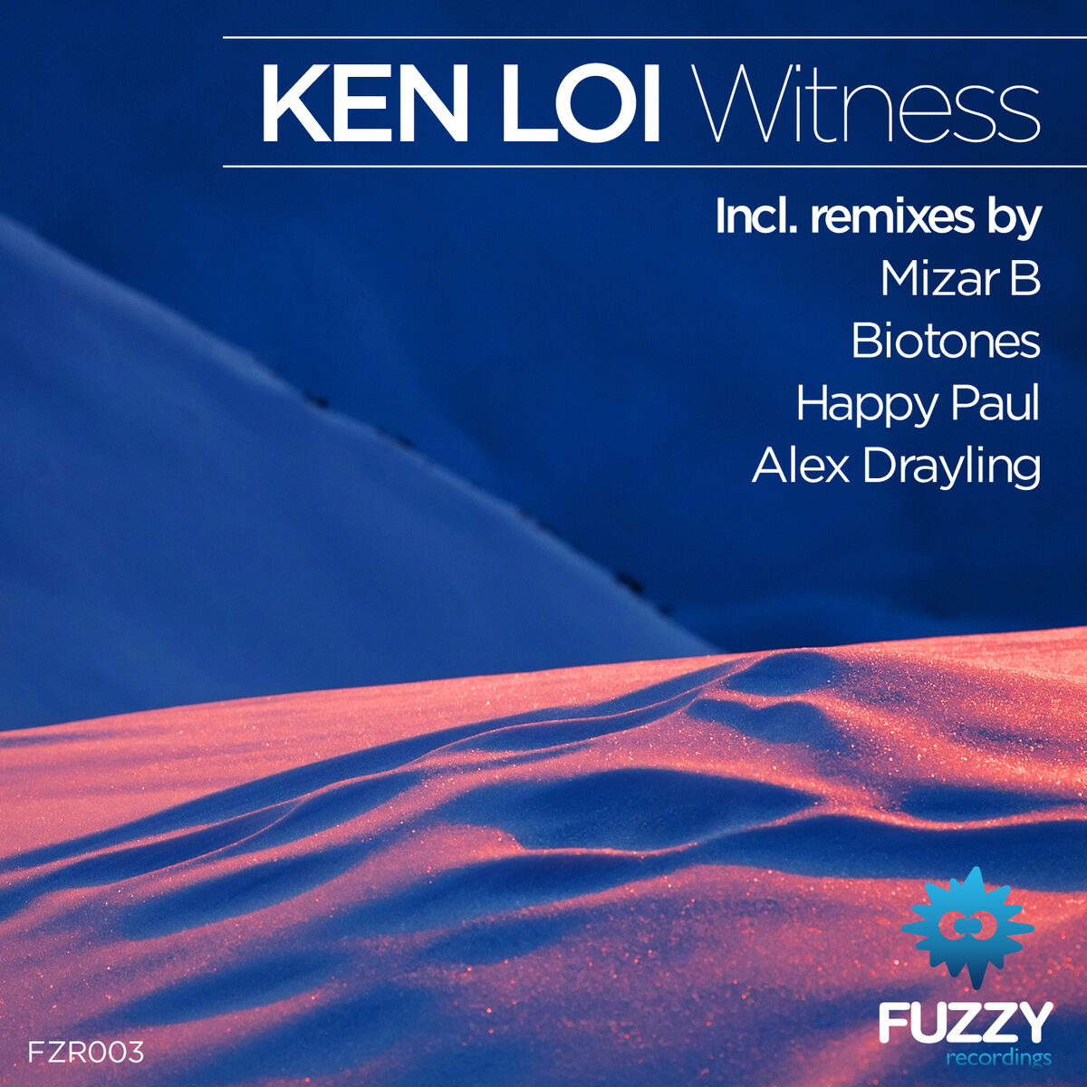 Album cover of Witness (Mizar B's Space Touch Mix)