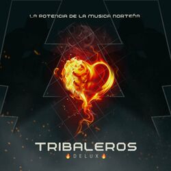 Cover of Tribaleros Delux