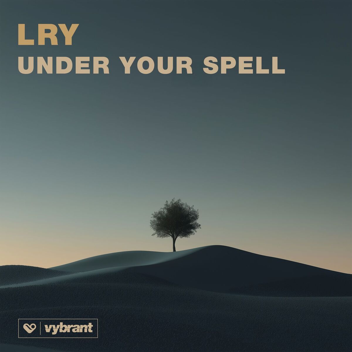 Album cover of Under Your Spell