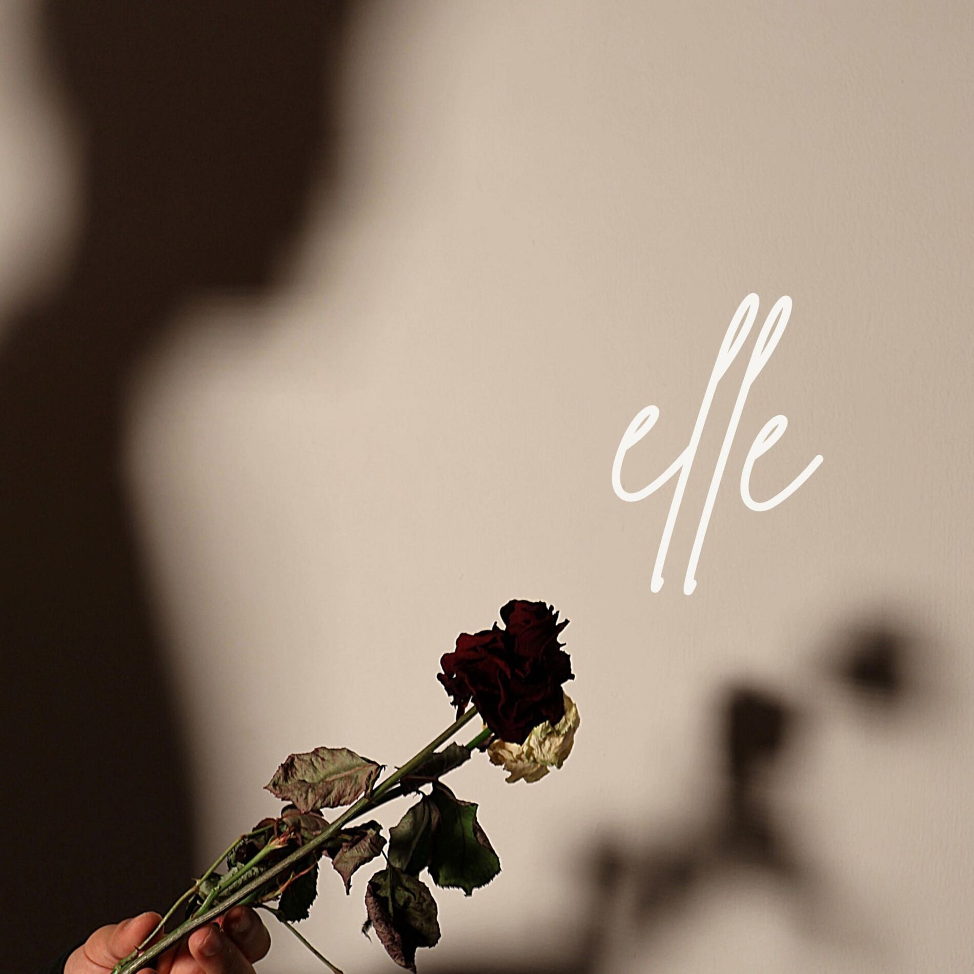 Album cover of elle