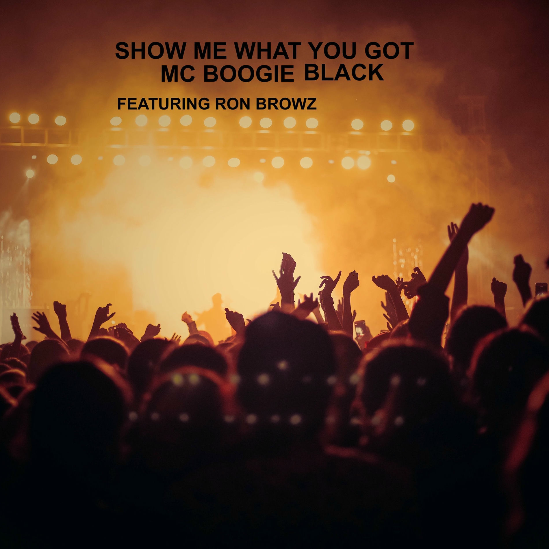 Album cover of show me what you got (dirty)