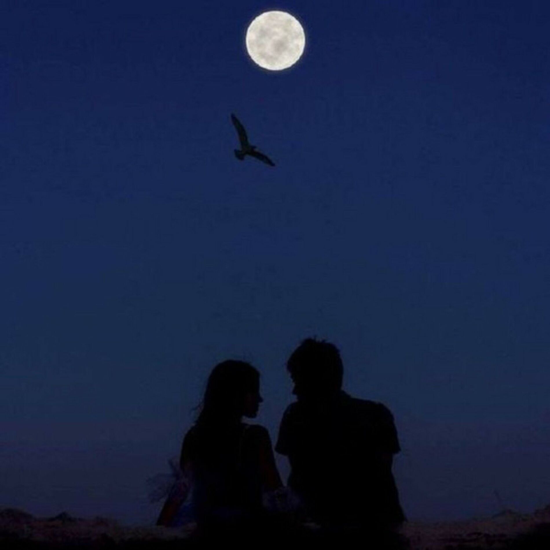 Album cover of Last Chance