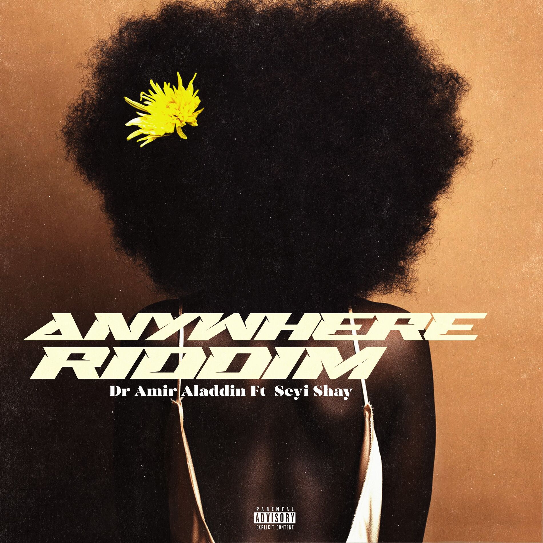 Album cover of Anywhere Riddim