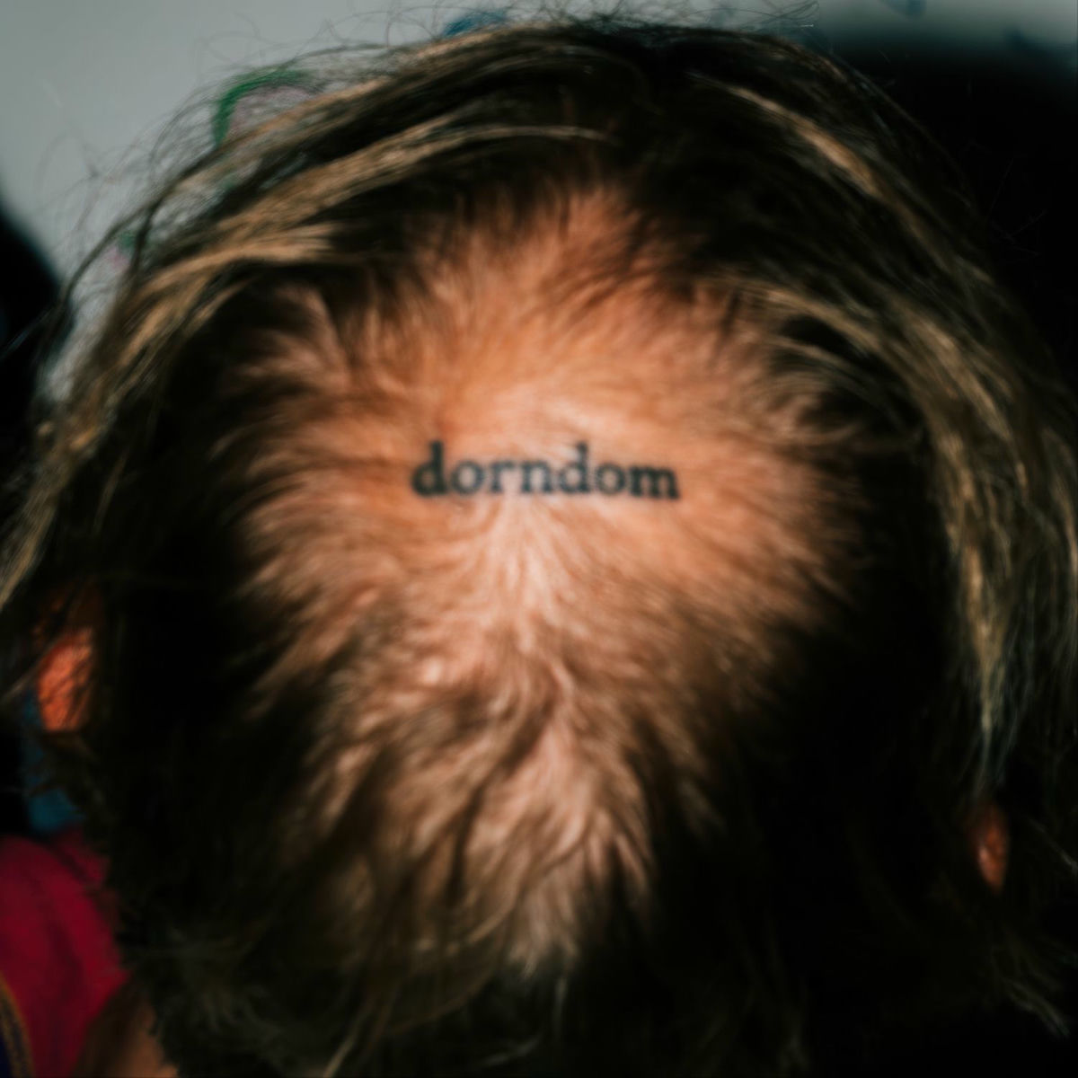 Album cover of dorndom
