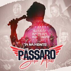Cover of Pássaro Sem Asas (Ao Vivo)