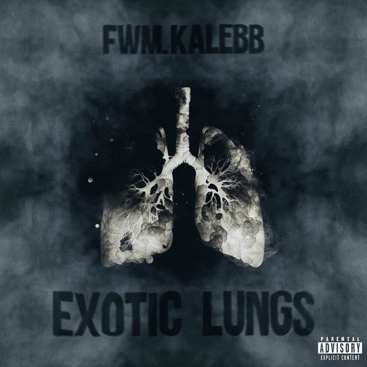 Album cover of Exotic Lungs