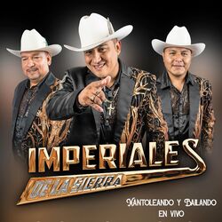 Cover of Xantoleando y Bailando (En Vivo)