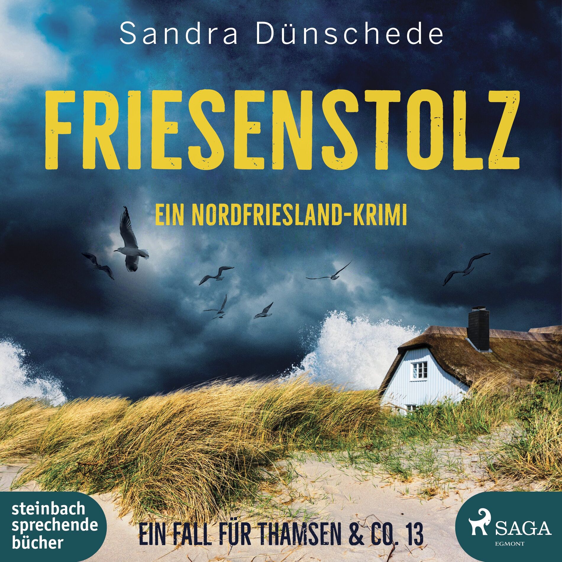 Album cover of Kapitel 1 & Kapitel 2.1 - Friesenstolz: Ein Nordfriesland-Krimi (Ein Fall für Thamsen & Co. 13)