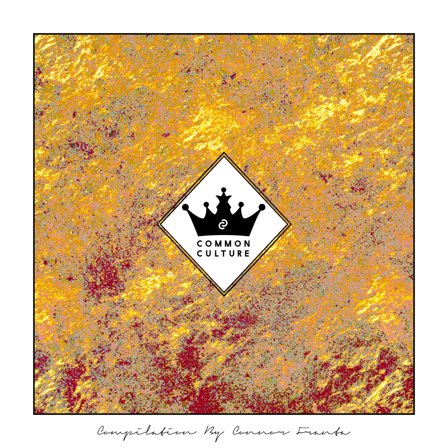 Album cover of Common Culture