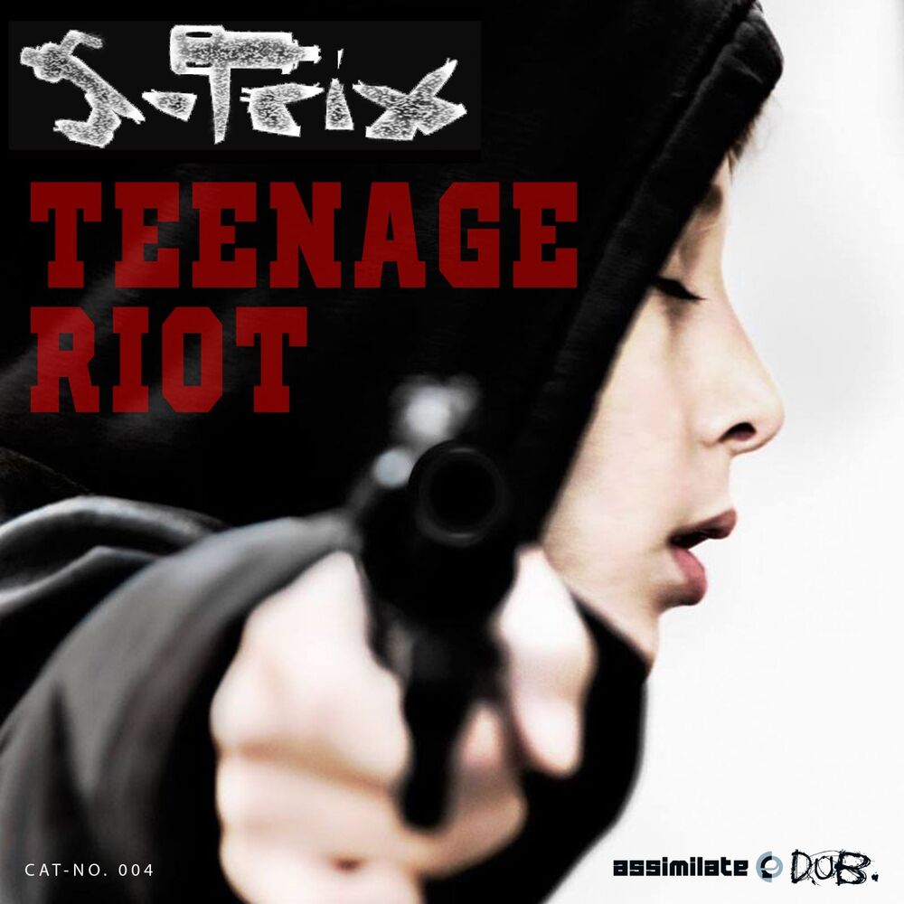 Picture of Teenage Riot