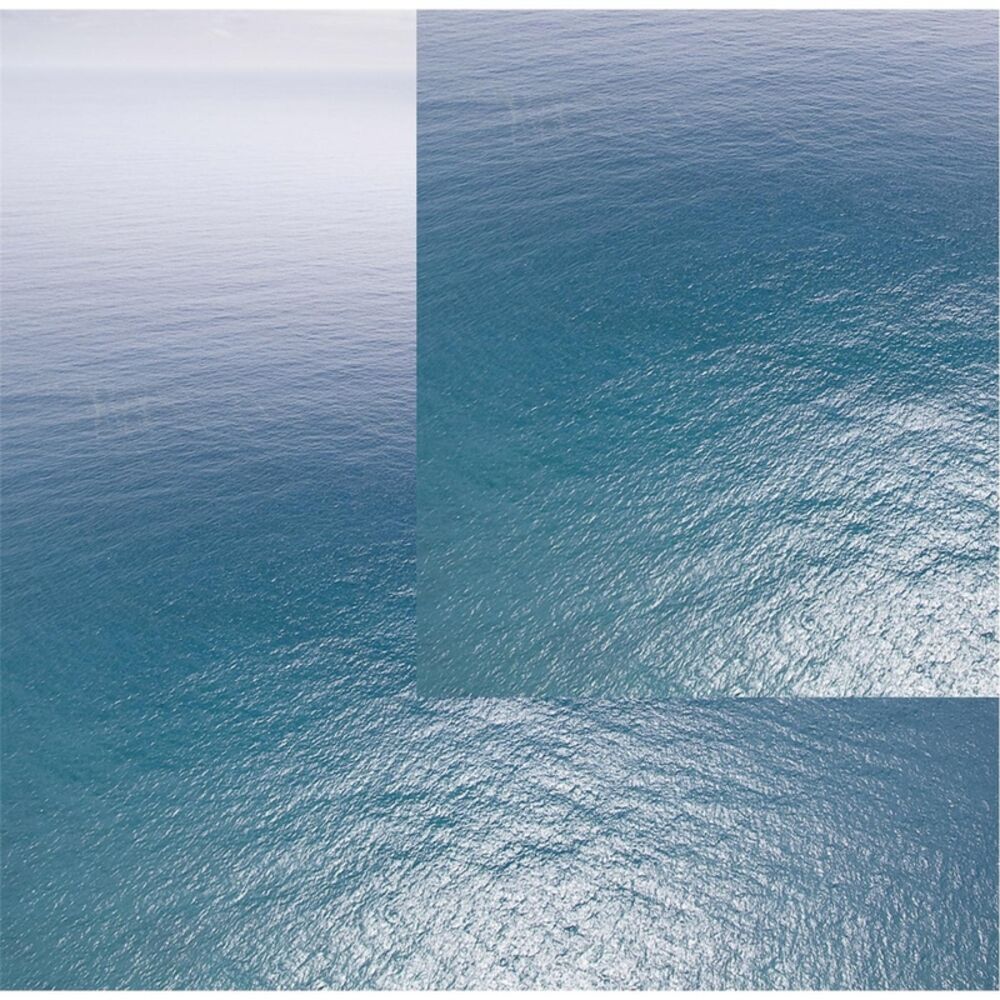 Picture of Migration Songs