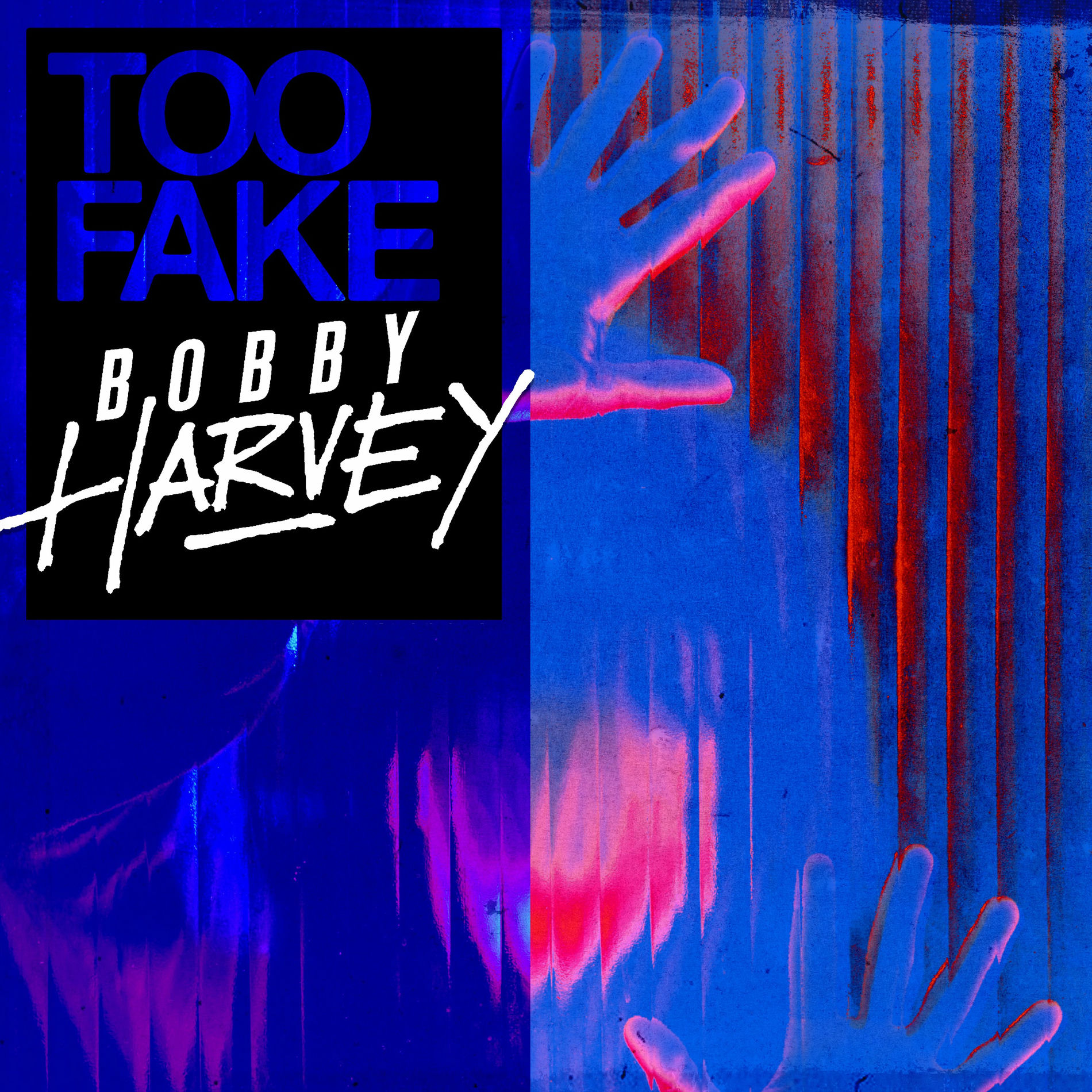 Album cover of Too Fake