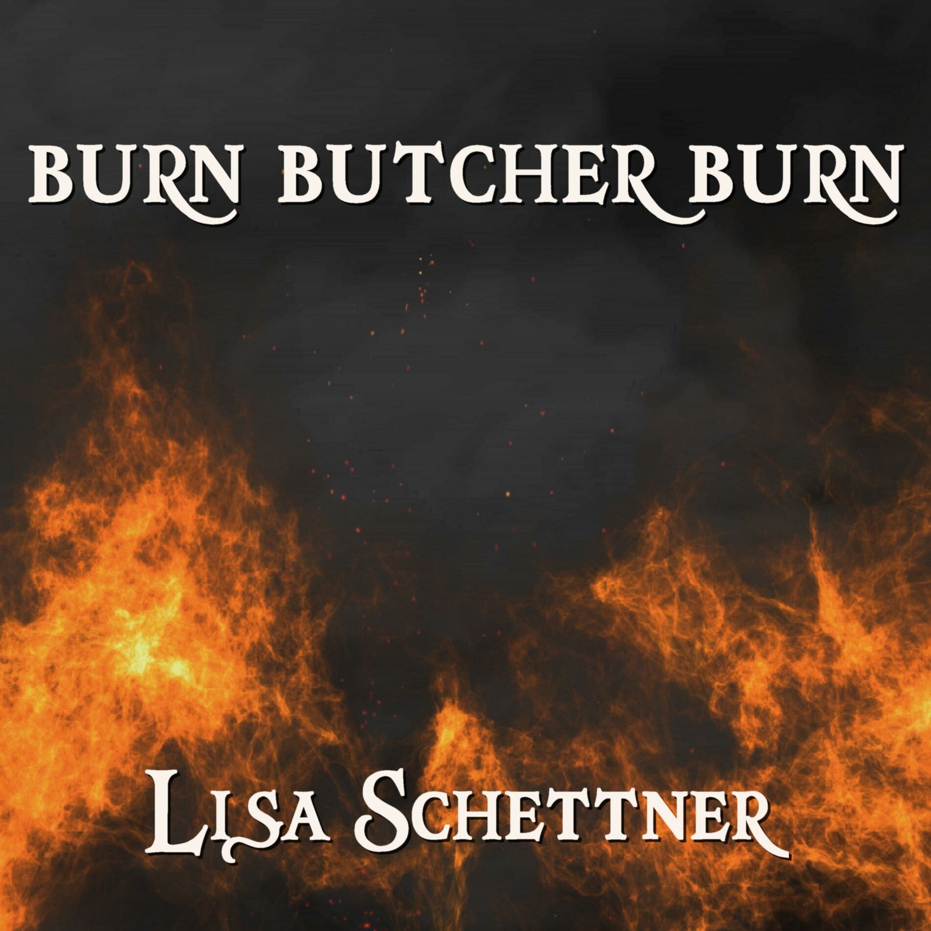Album cover of Burn Butcher Burn