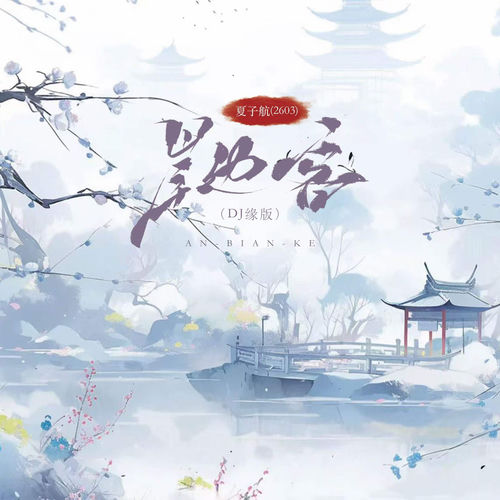 岸边客 (DJ缘版)
